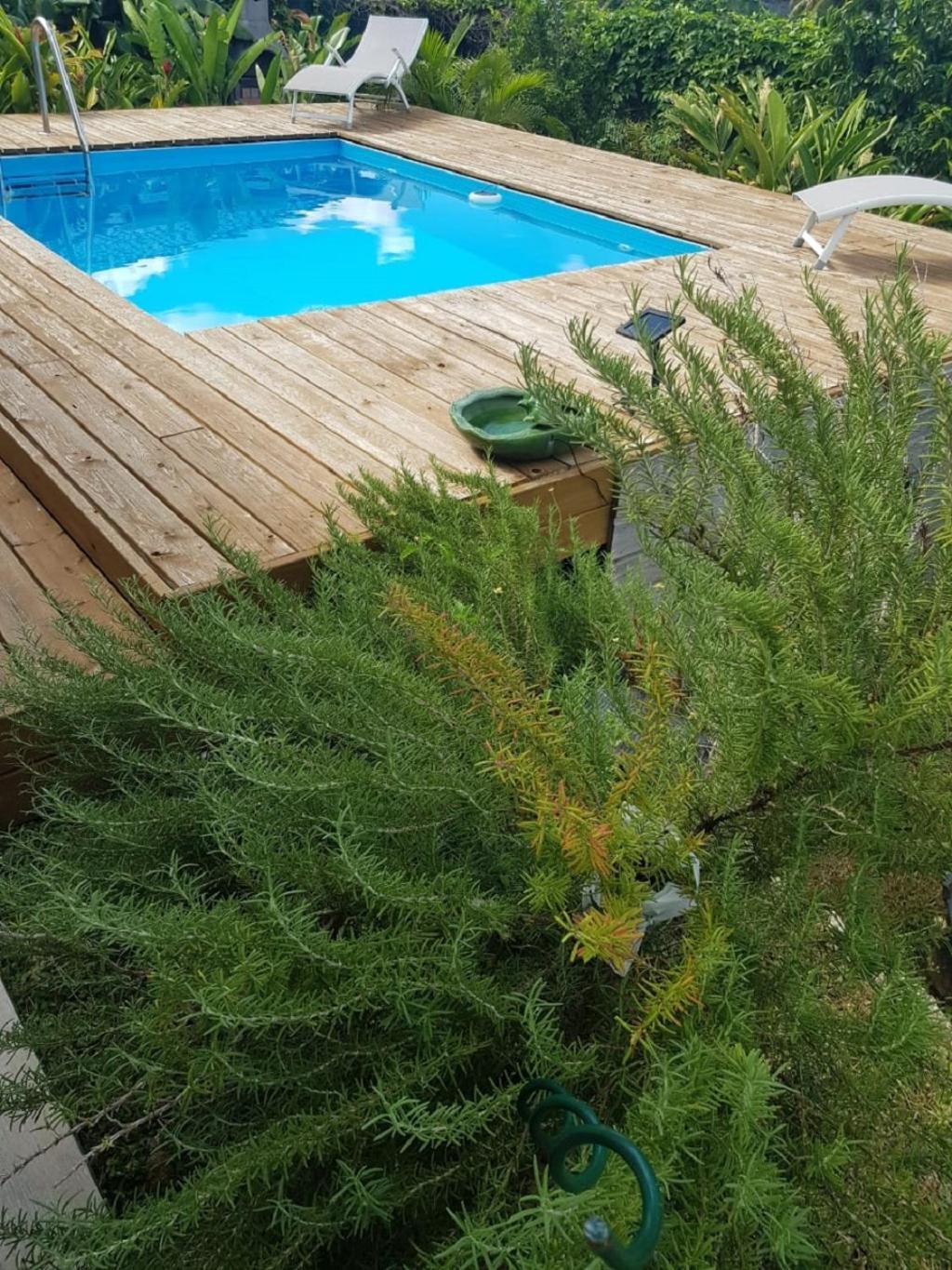 Studio Avec Piscine, A 3 Minutes A Pied Des Plages Сент-Анн Экстерьер фото