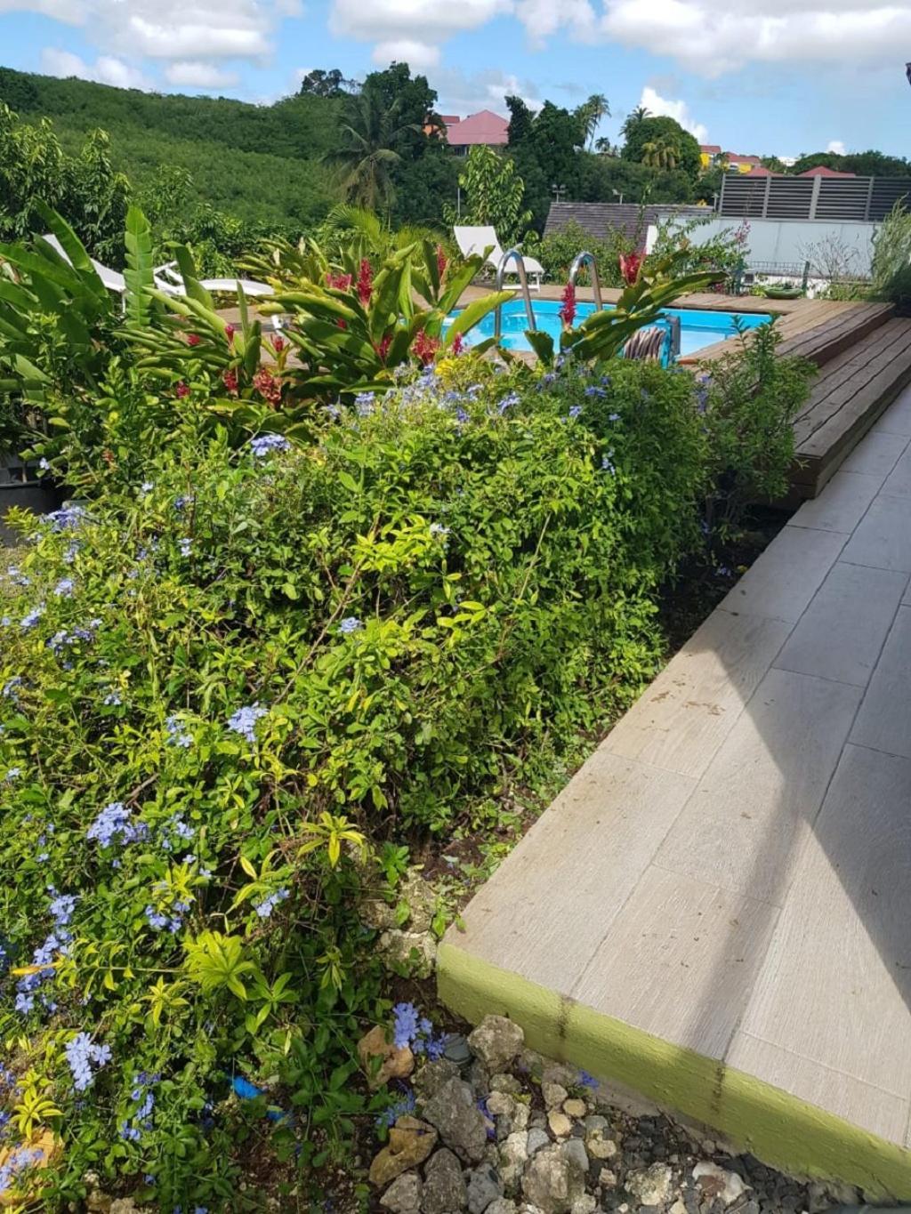Studio Avec Piscine, A 3 Minutes A Pied Des Plages Сент-Анн Экстерьер фото
